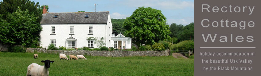 Logo and house